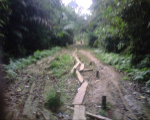 Bush path from Emago-Kugbo to Ogbia in Bayelsa
